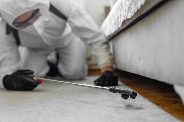 Professional Bed Bug Control technician working in Boulder Creek, CA