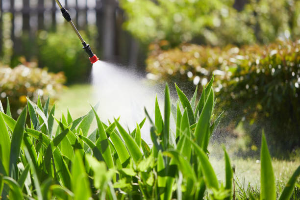 24/7 Emergency Bed Bug Control experts in Boulder Creek, CA