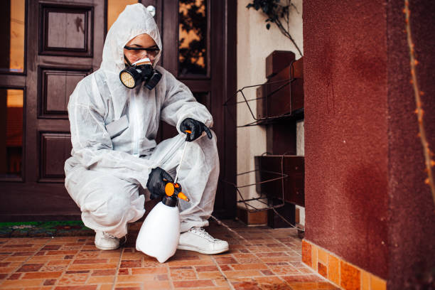 Reliable Bed Bug Control contractor in Boulder Creek, CA by Nex Pest Control