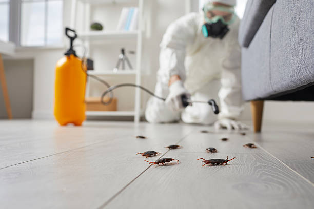 Trusted Bed Bug Control service in Boulder Creek, CA - Nex Pest Control