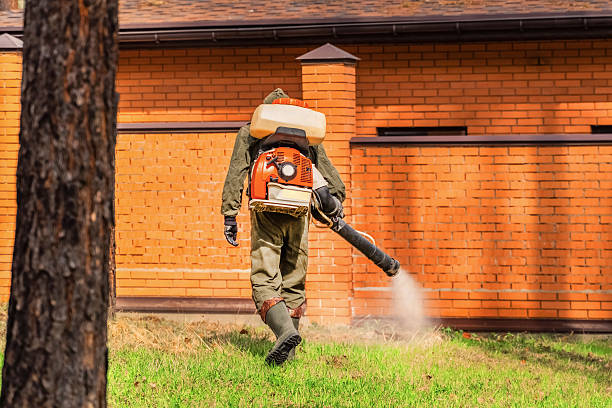 Trusted Cockroach Control service in Boulder Creek, CA - Nex Pest Control